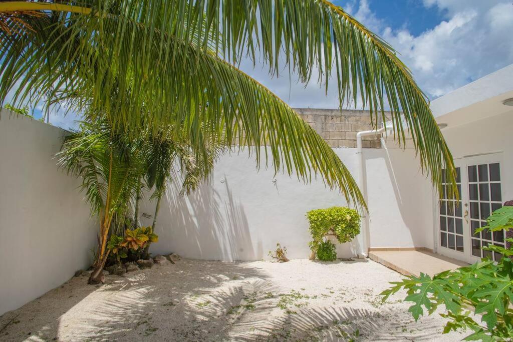 Casa Itzamna Villa Cozumel Exterior photo